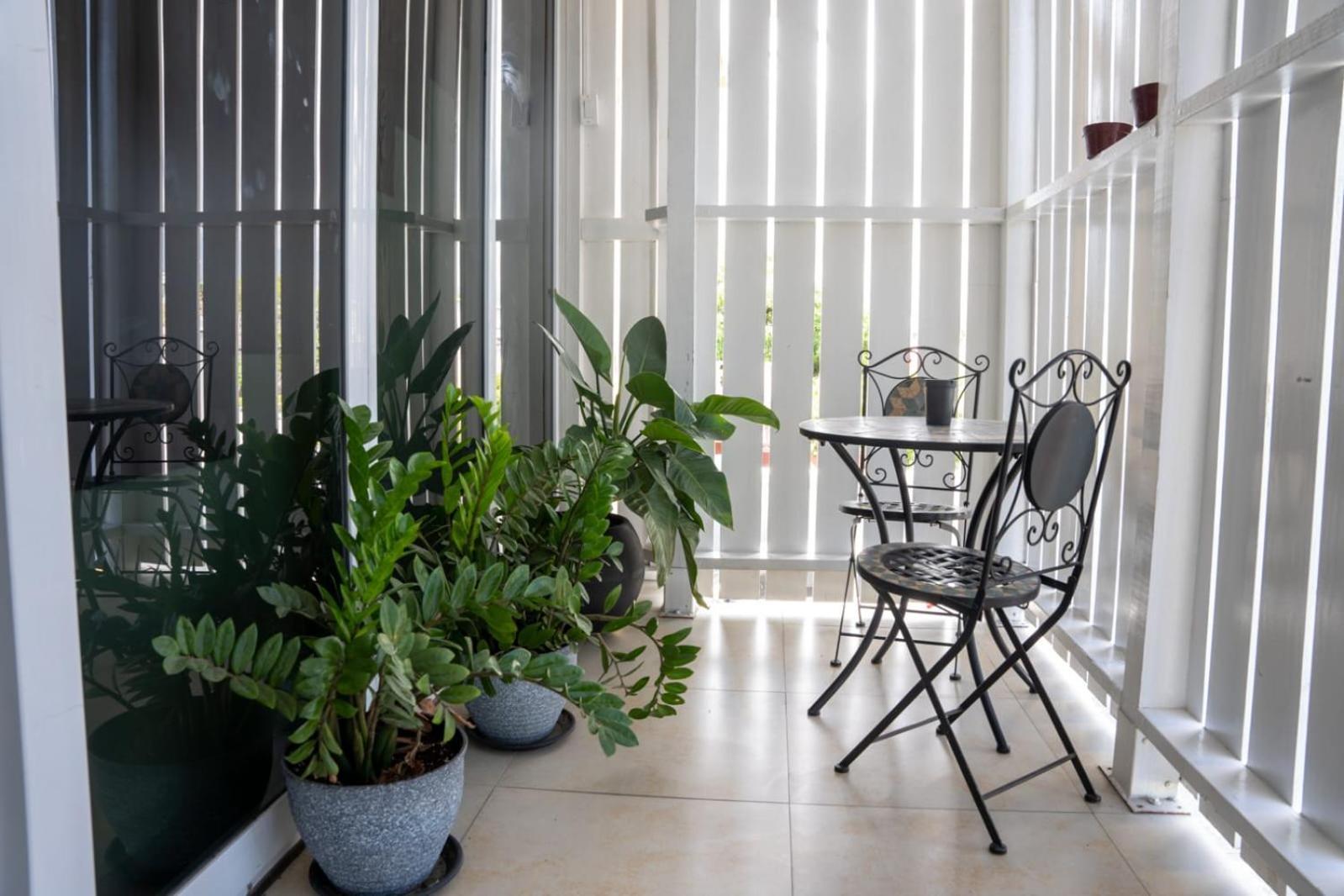 كينغستون Ivs Bed And Breakfast المظهر الخارجي الصورة